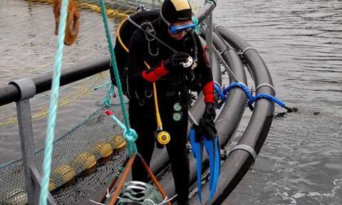 Dafna Israel doing fieldwork in Skutulsfjordur